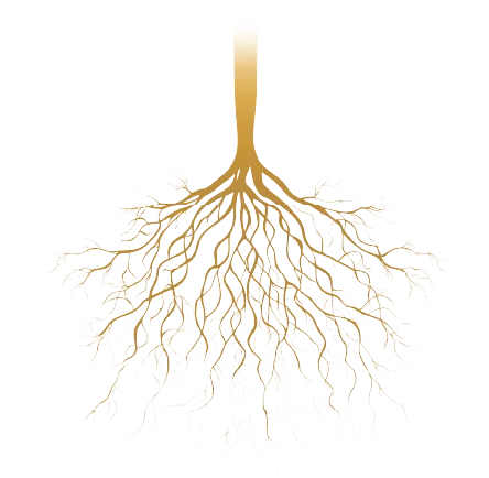 Golden roots — growing deep, planting the seed